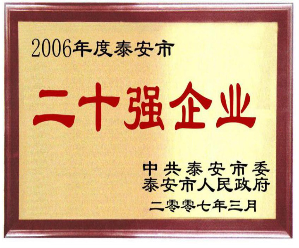 泰安市二十强企业