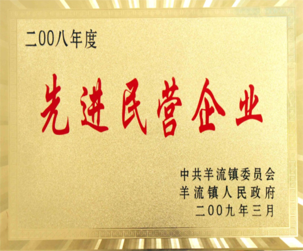 年度先进民营企业